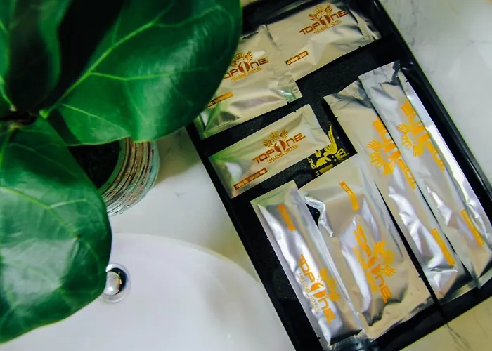Topone Khách sạn Hạ Long